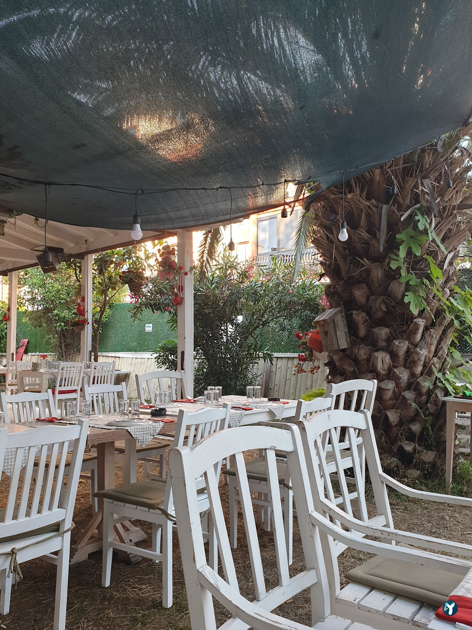 Müdavim Restaurant