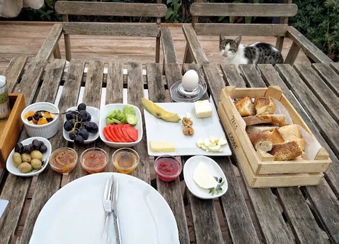 TEOS LODGE Pansiyon & Restaurant resimleri