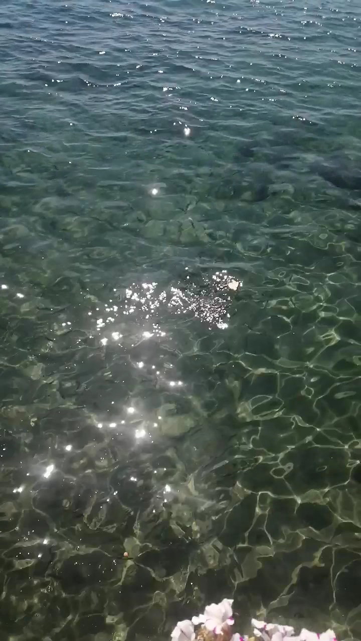 The Place Restaurant