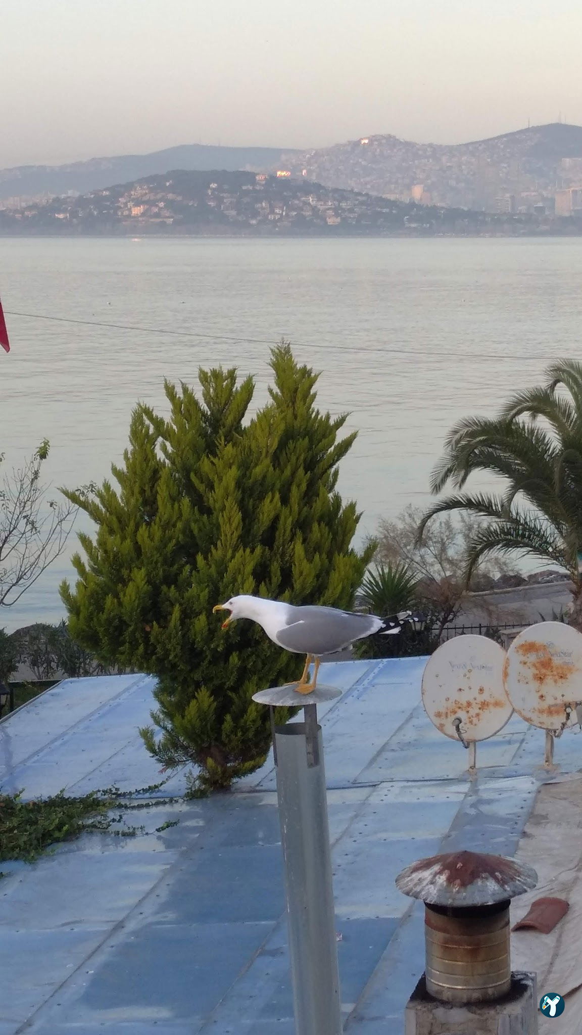 Büyükada Port Hotel