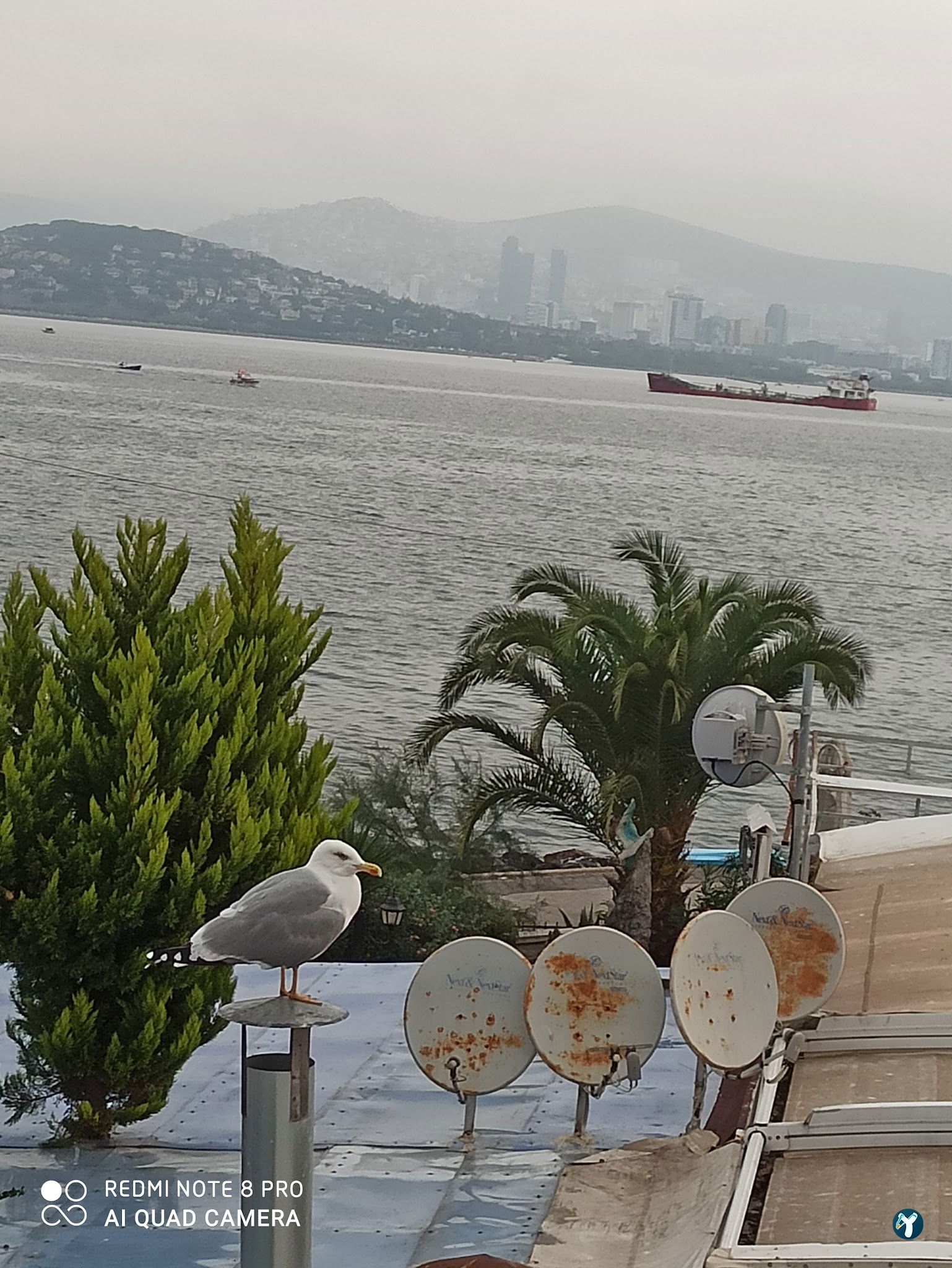 Büyükada Port Hotel