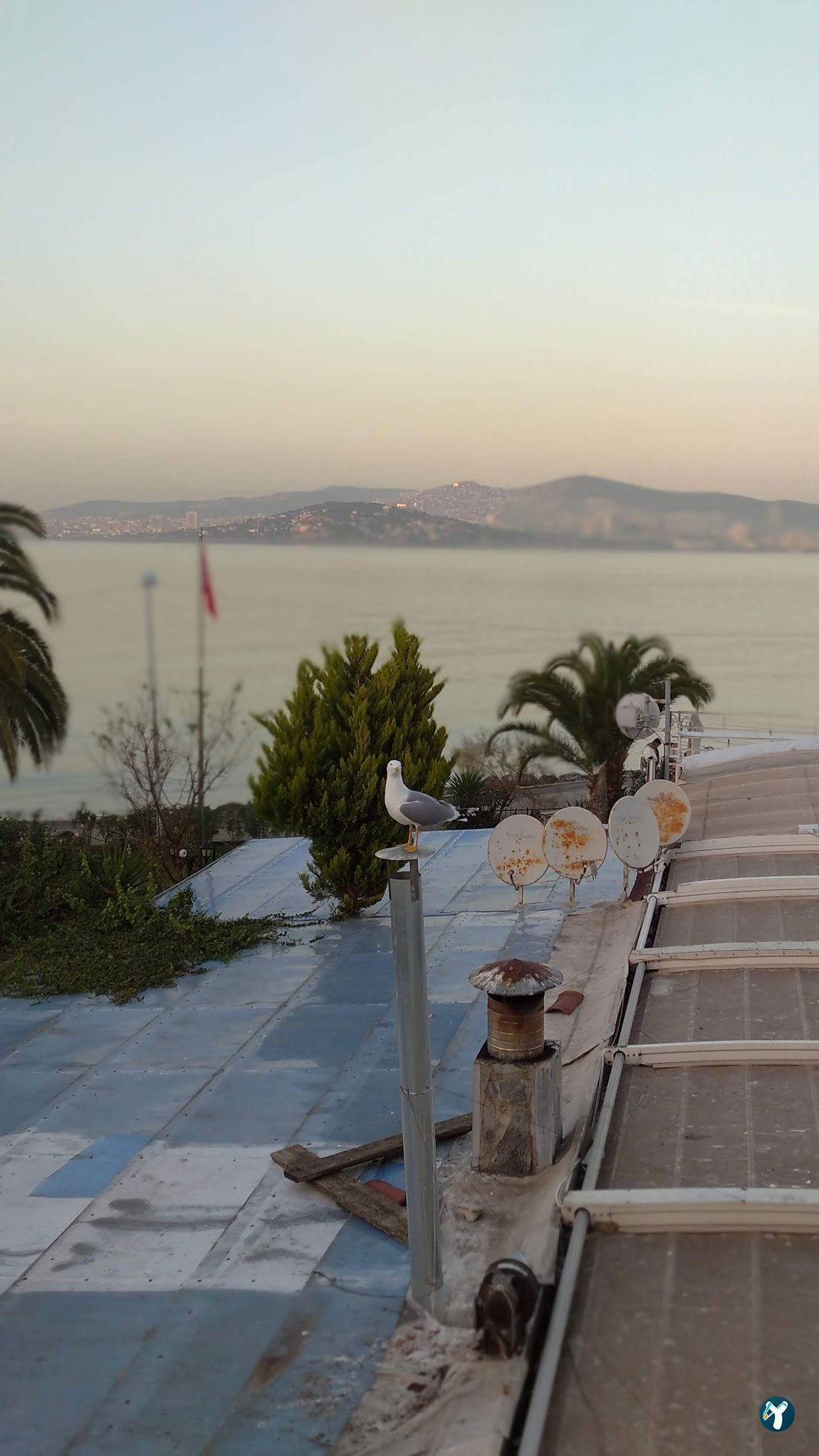 Büyükada Port Hotel