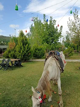 Çatalca Kristal Park Restorant resimleri