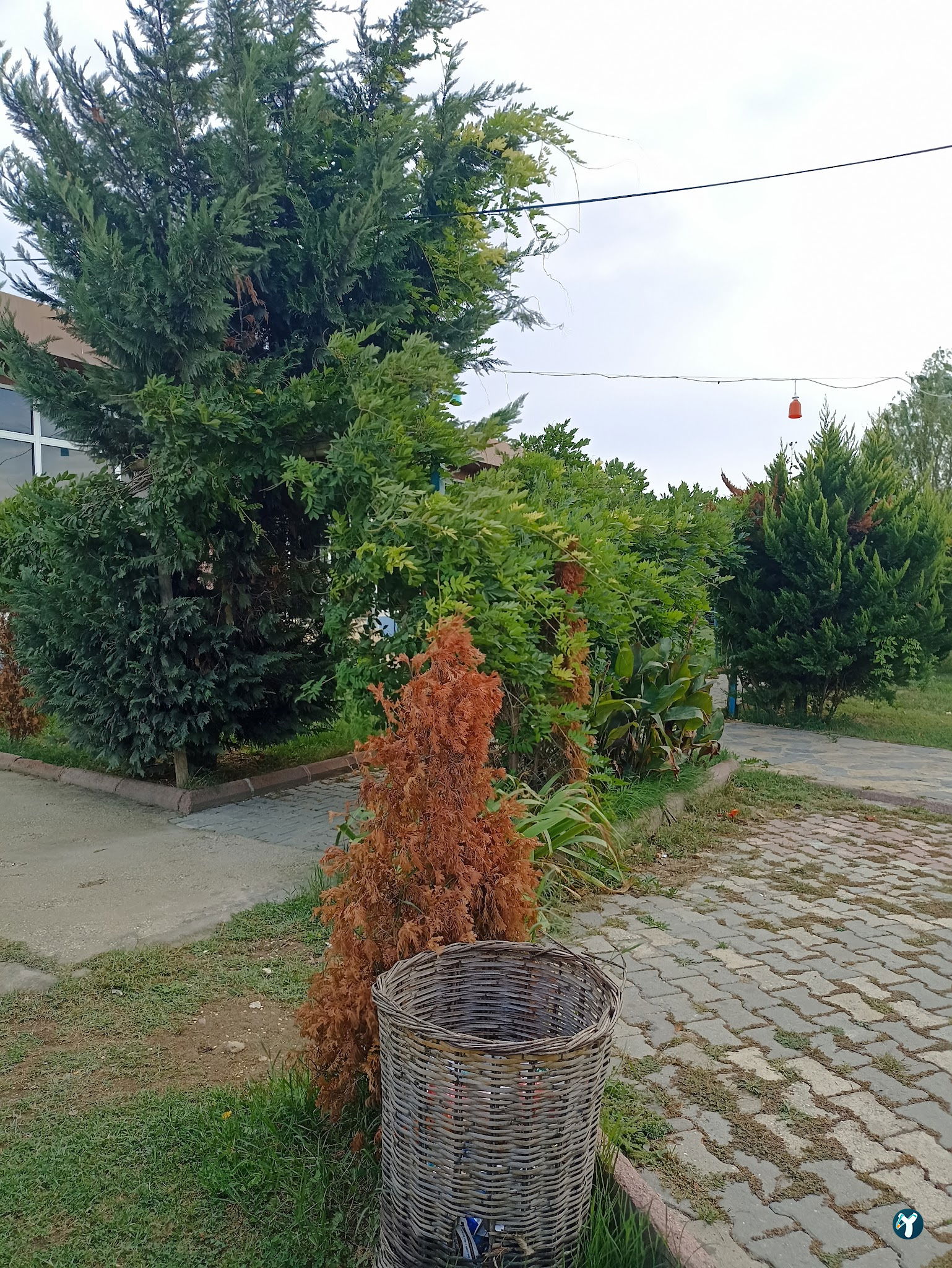 Çatalca Kristal Park Restorant