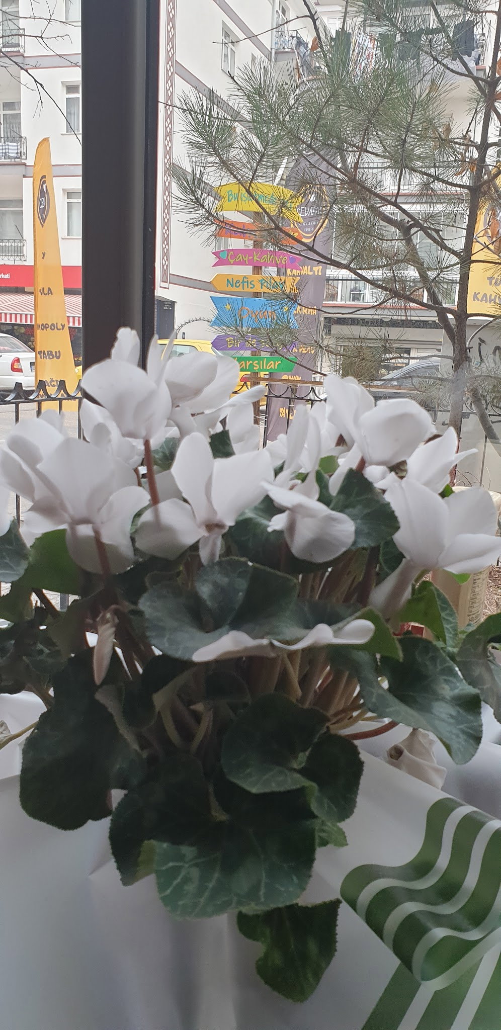 Cevahir Cafe & Oyun & Bistro