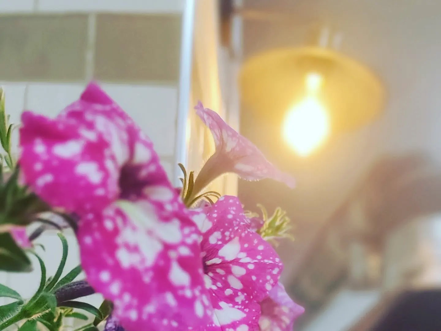 Hava Ablam Sandvi̇ç Ve Ocakbaşi