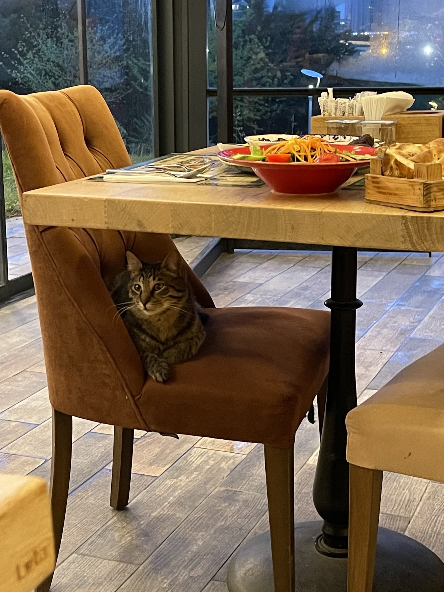 Monna Cafe Restorant