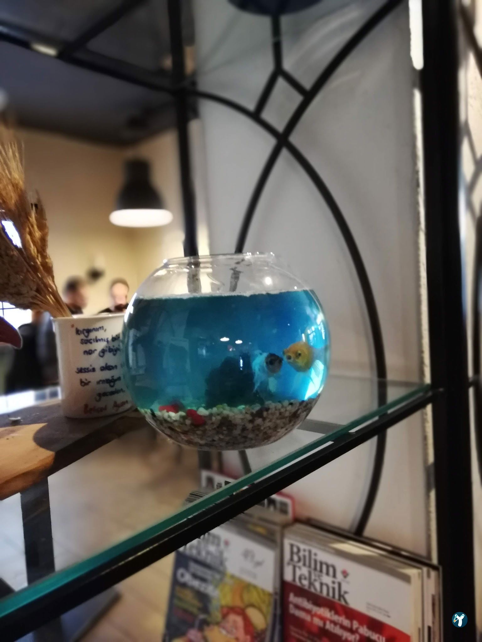 Nar-Inn Cafe
