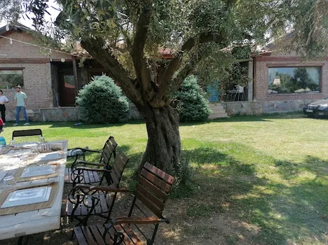 Zeytin Kahvaltı resimleri