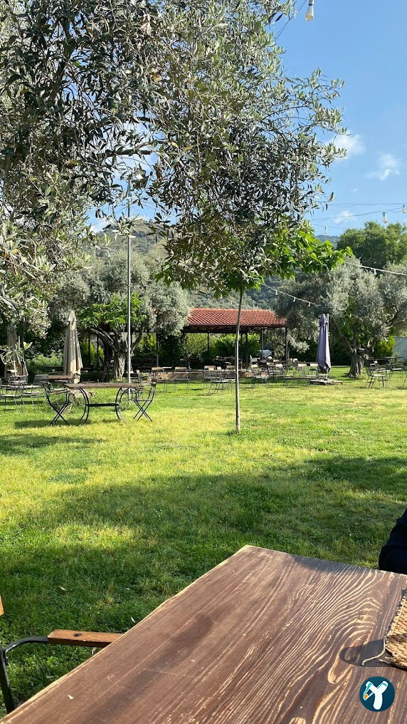 Zeytin Kahvaltı