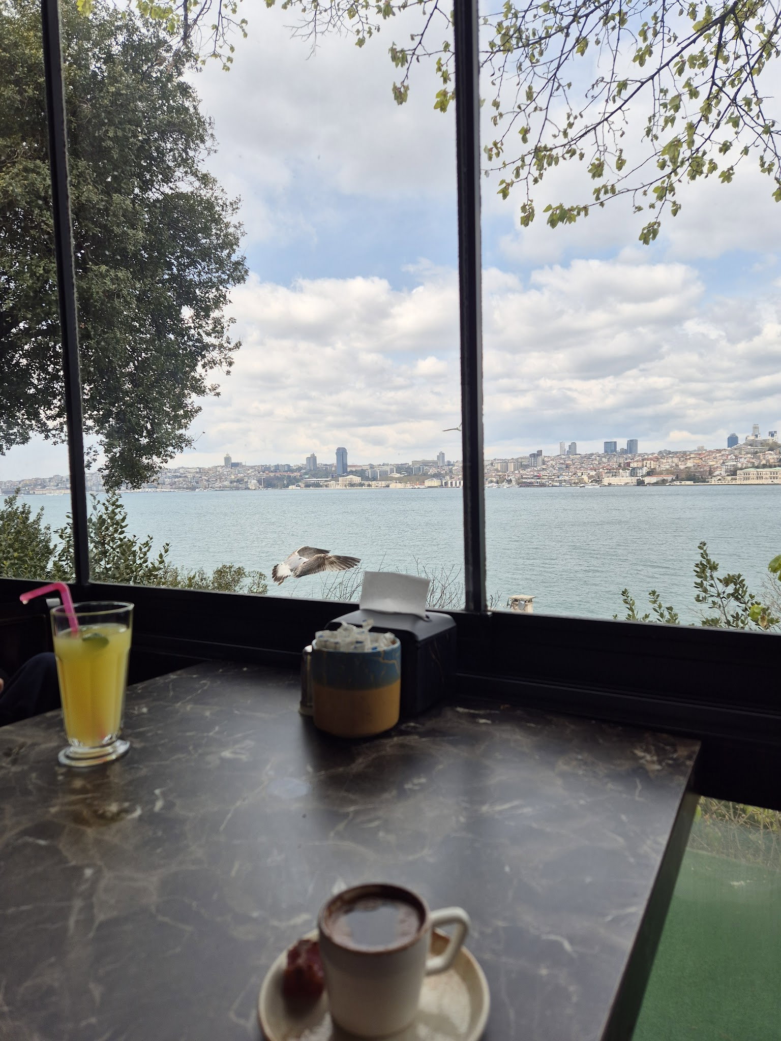 Yeşi̇l Mavi̇ Cafe