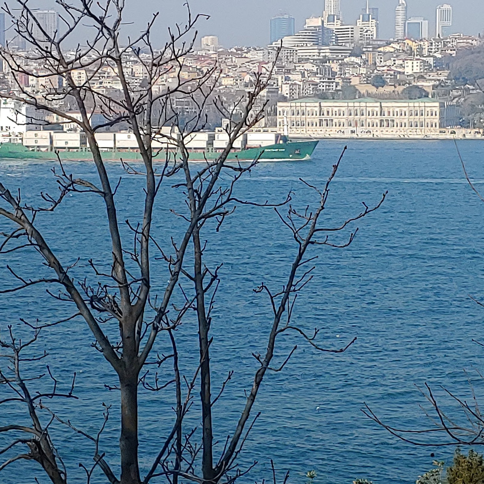 Yeşi̇l Mavi̇ Cafe