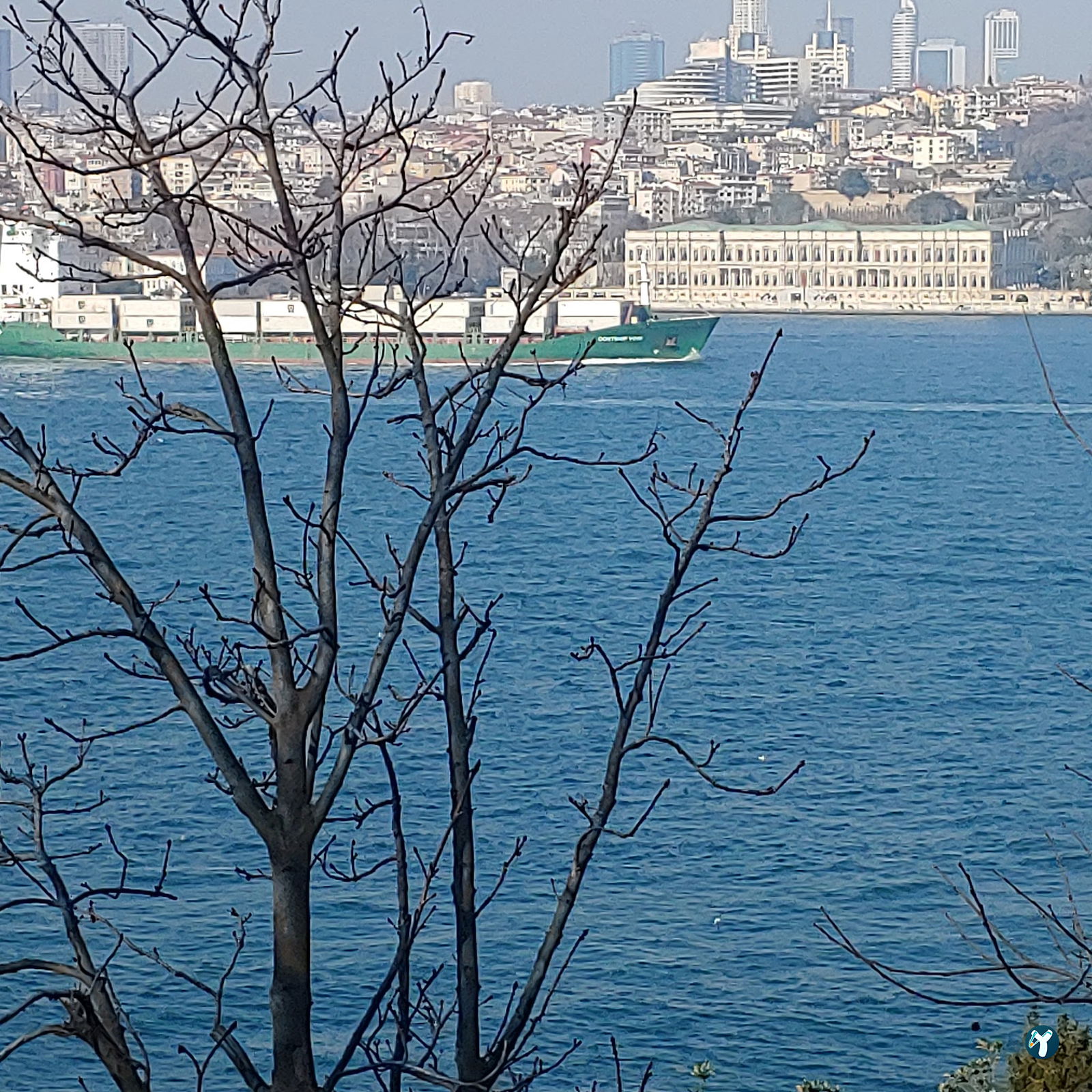 Yeşi̇l Mavi̇ Cafe