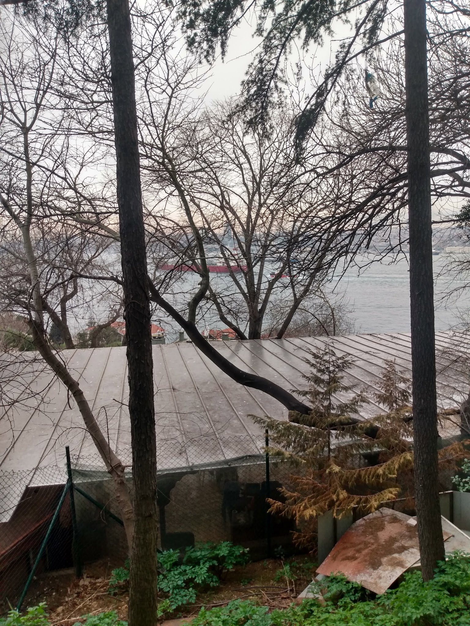 Yeşi̇l Mavi̇ Cafe