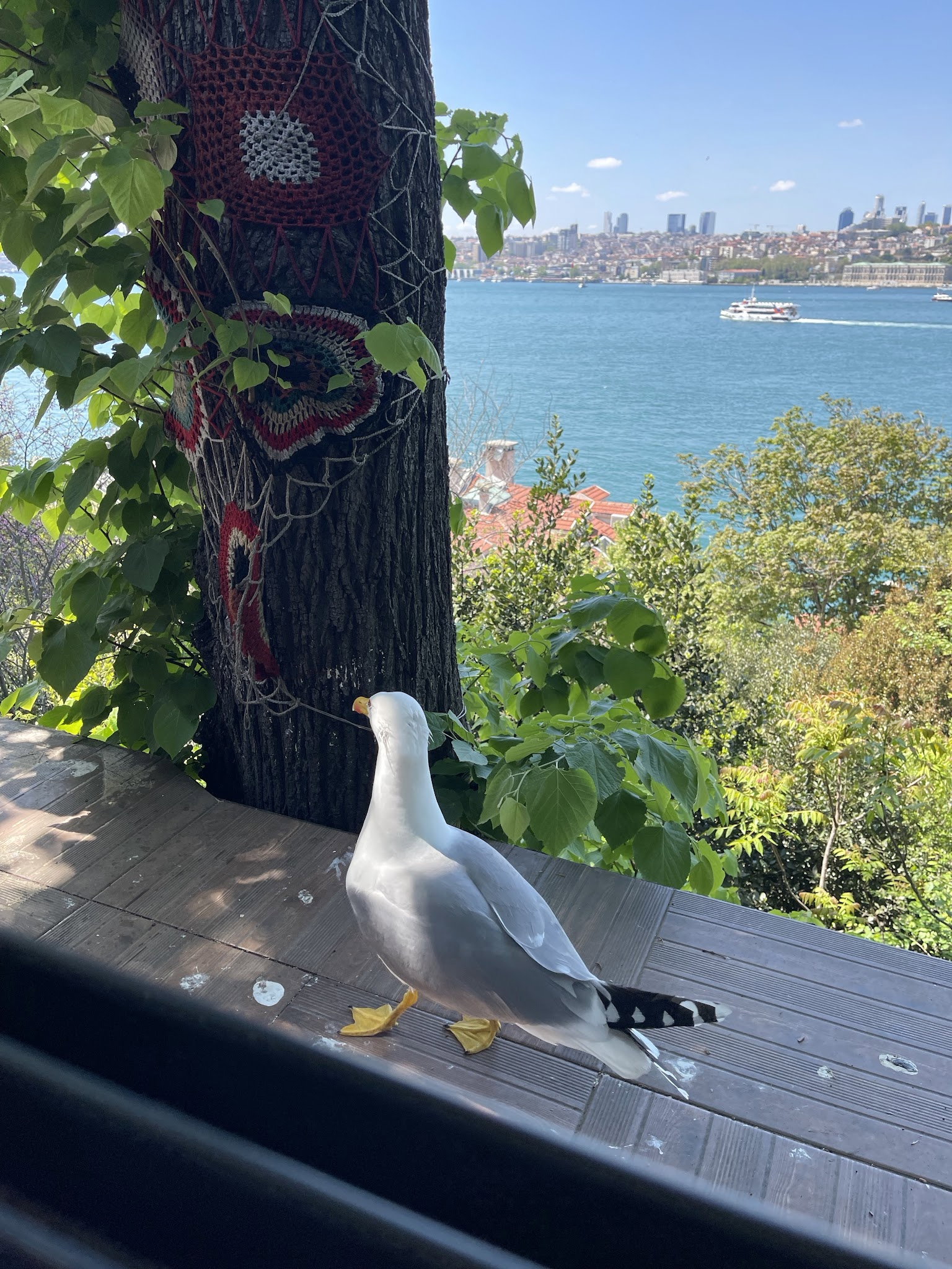 Yeşi̇l Mavi̇ Cafe