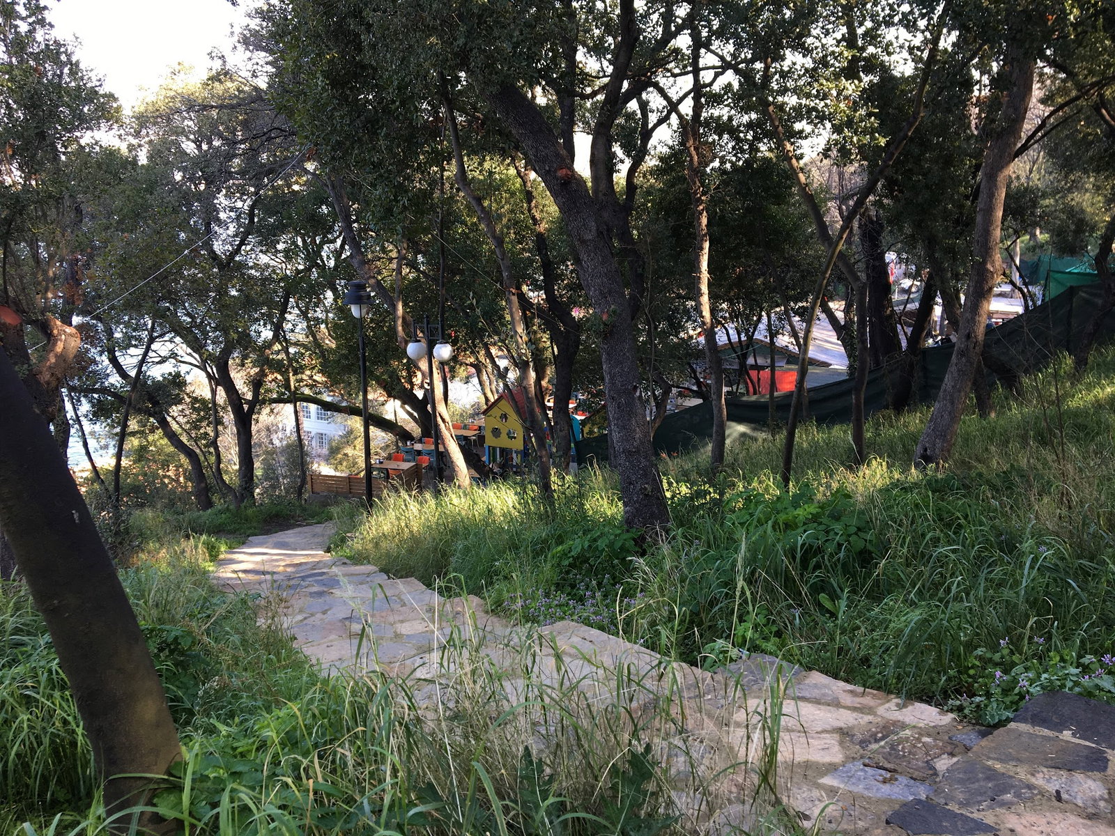 Yeşi̇l Mavi̇ Cafe