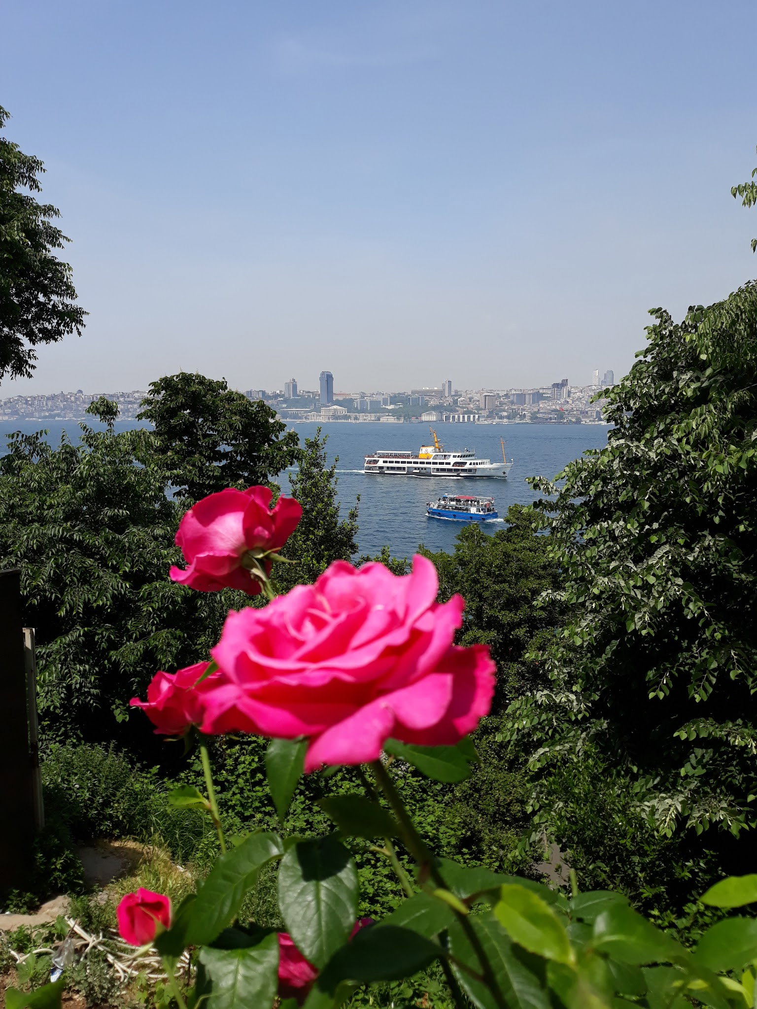 Yeşi̇l Mavi̇ Cafe