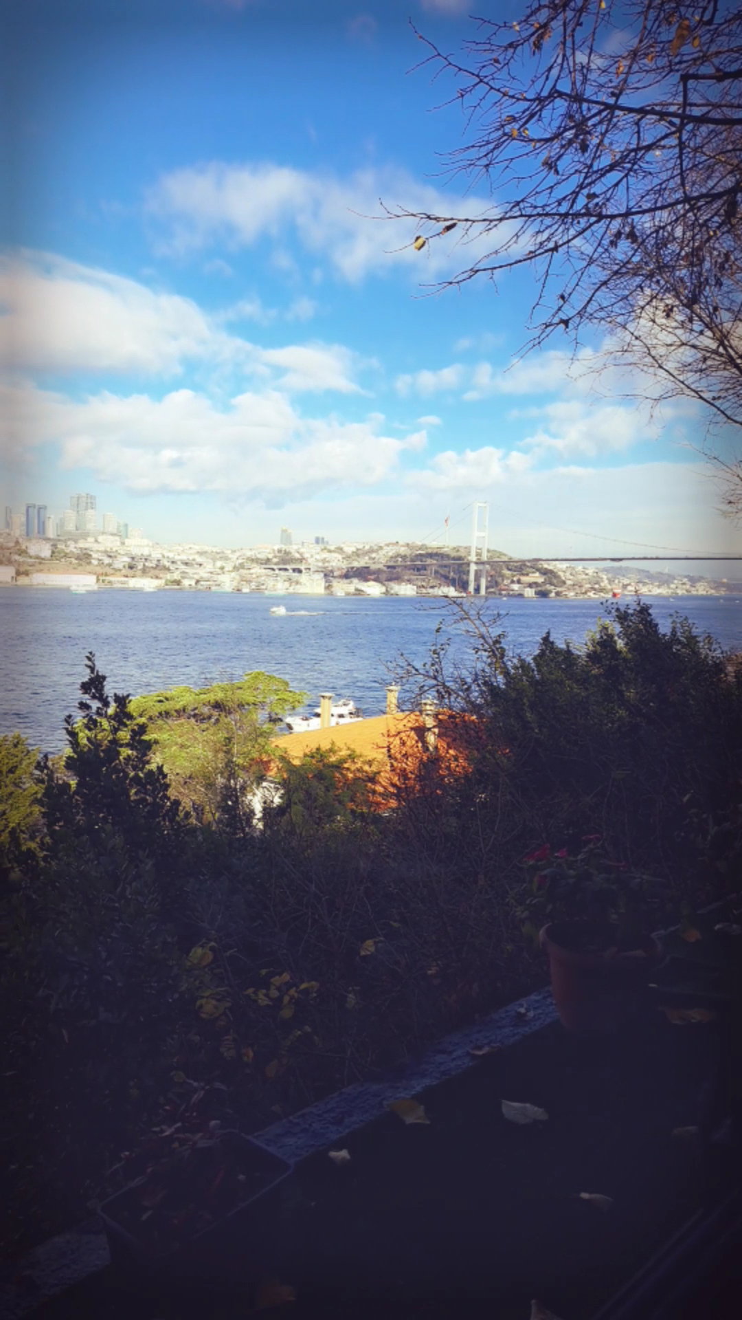 Yeşi̇l Mavi̇ Cafe