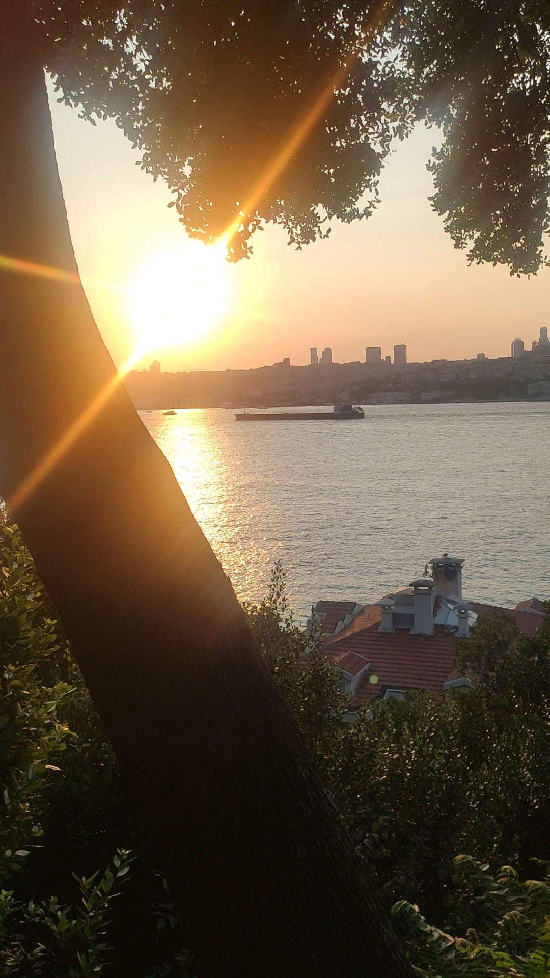 Yeşi̇l Mavi̇ Cafe