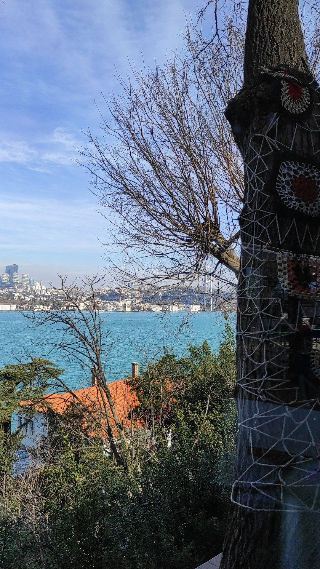 Yeşi̇l Mavi̇ Cafe