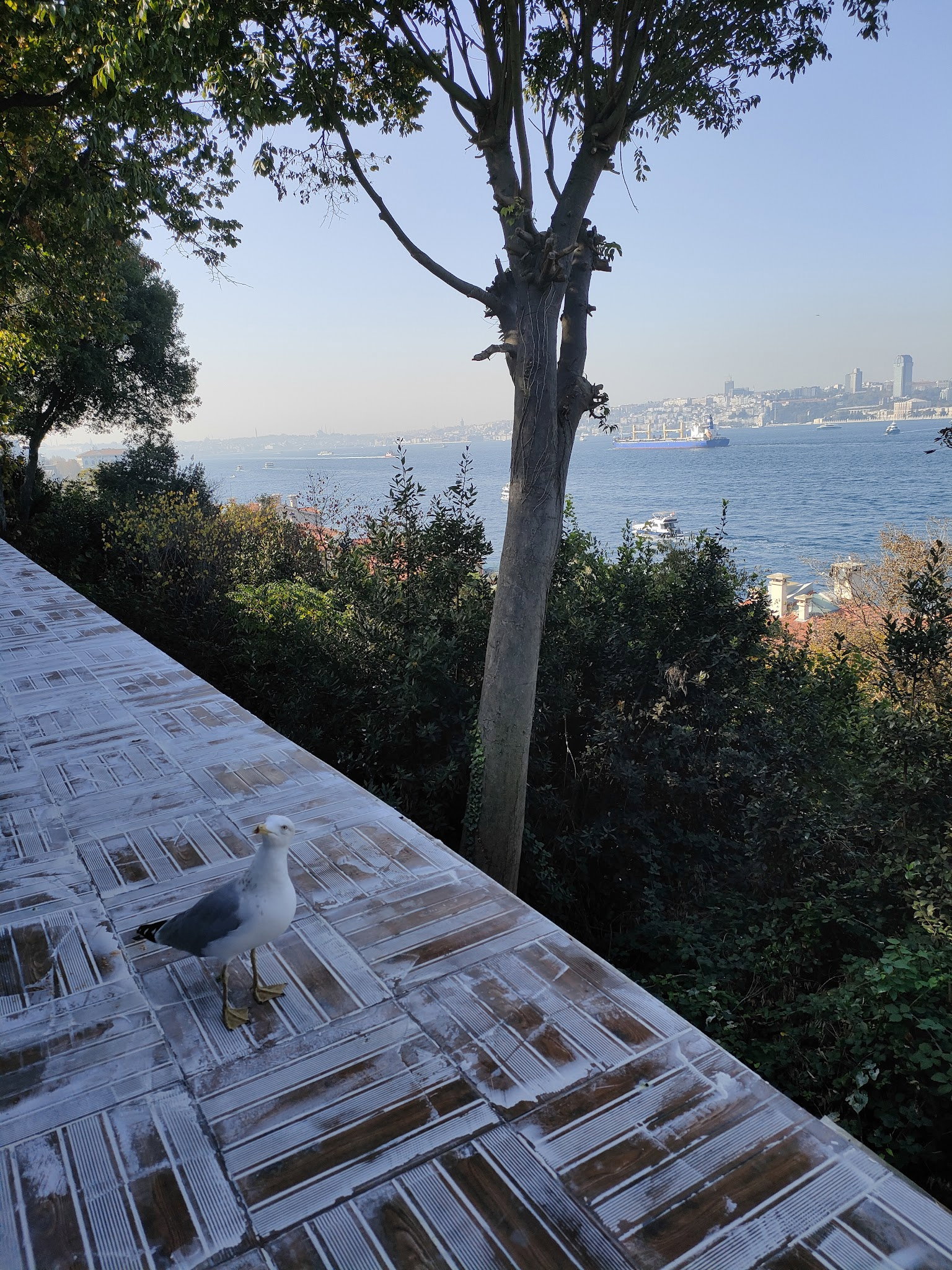 Yeşi̇l Mavi̇ Cafe