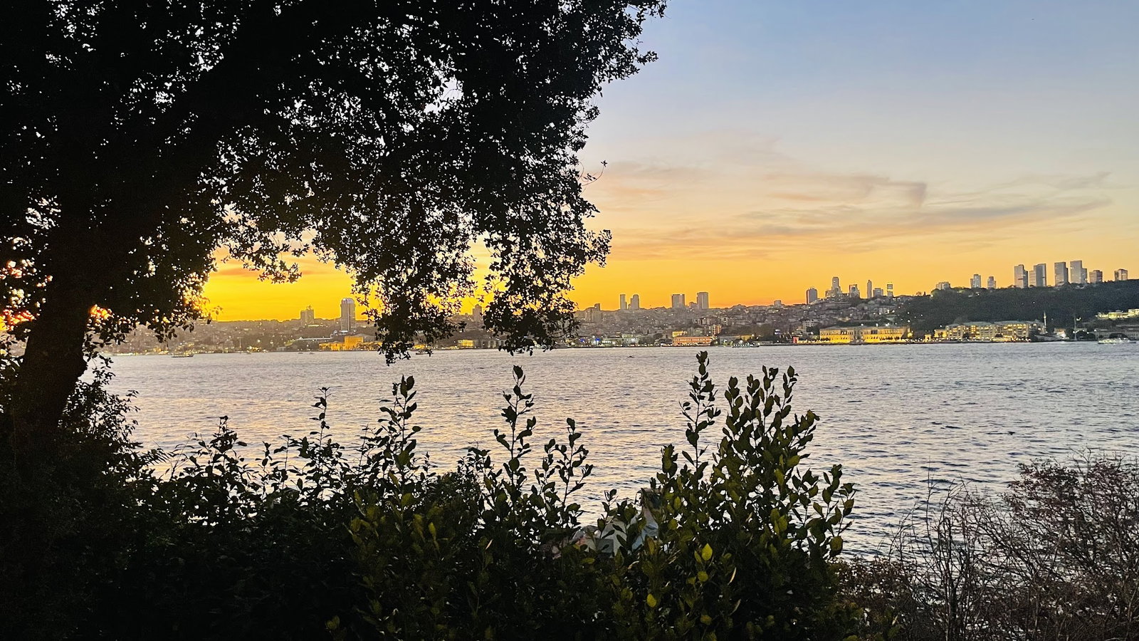 Yeşi̇l Mavi̇ Cafe