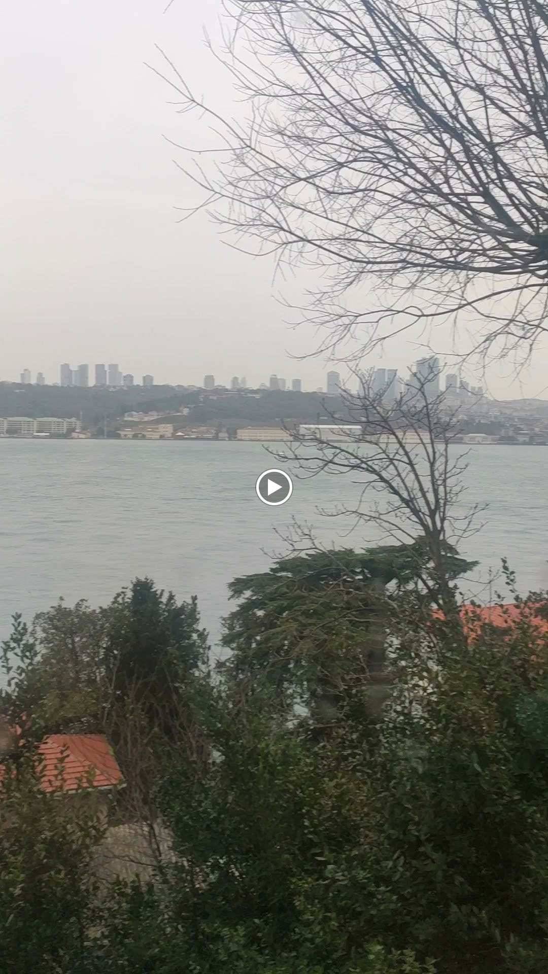 Yeşi̇l Mavi̇ Cafe