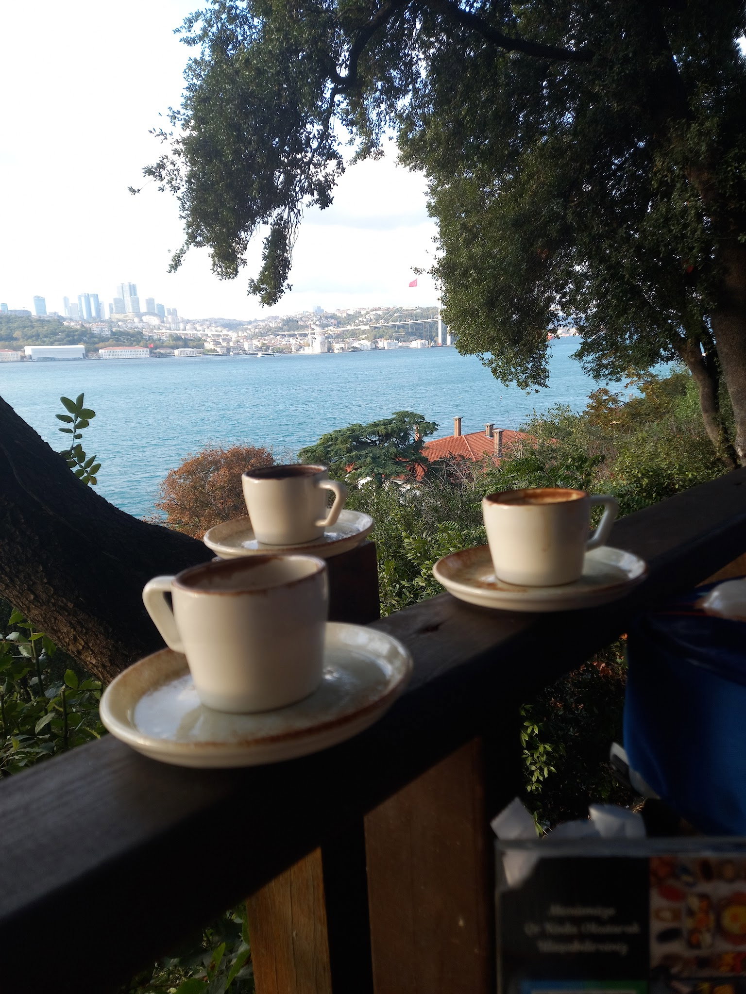 Yeşi̇l Mavi̇ Cafe