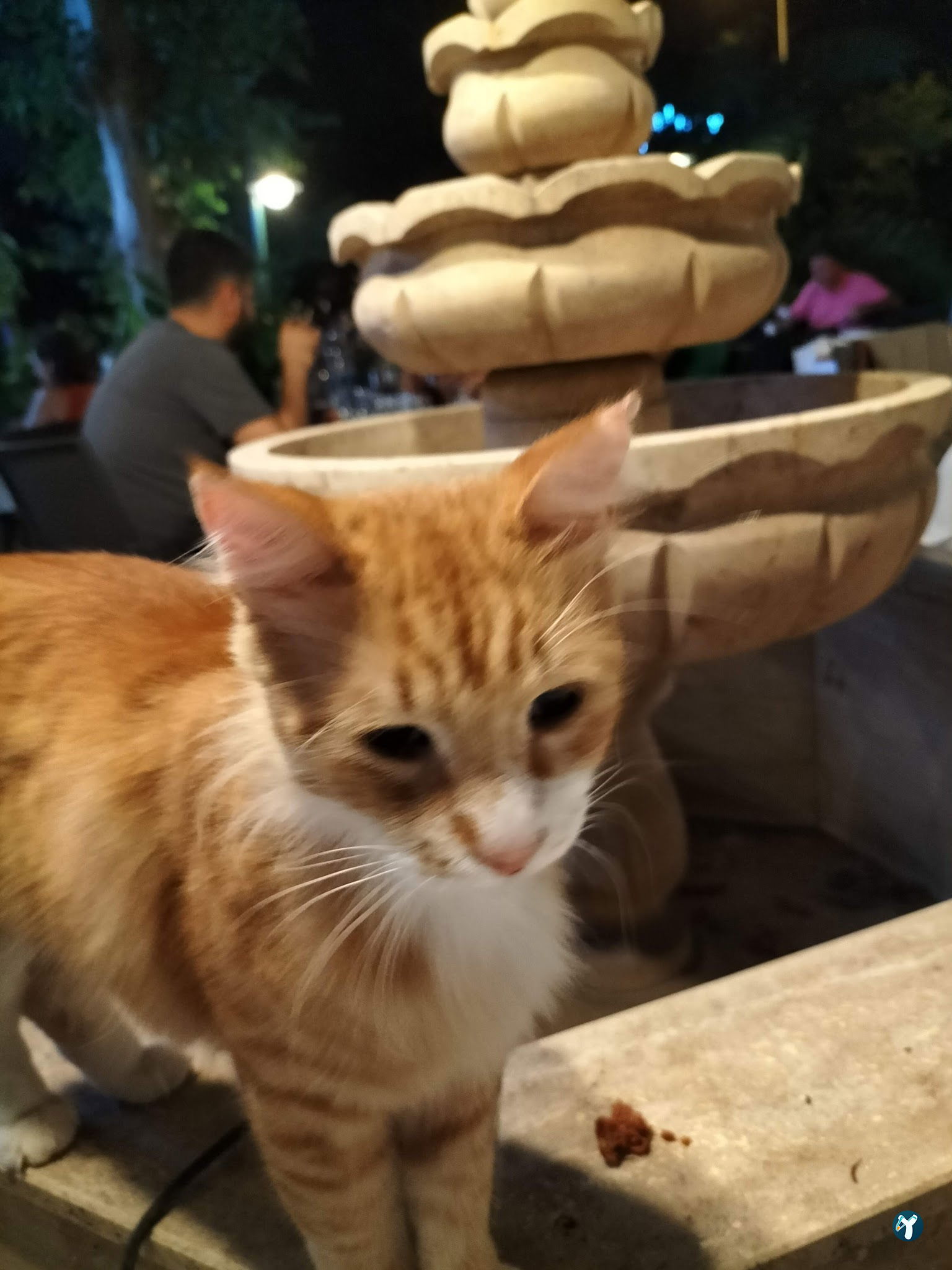 Palm Meat Restaurant