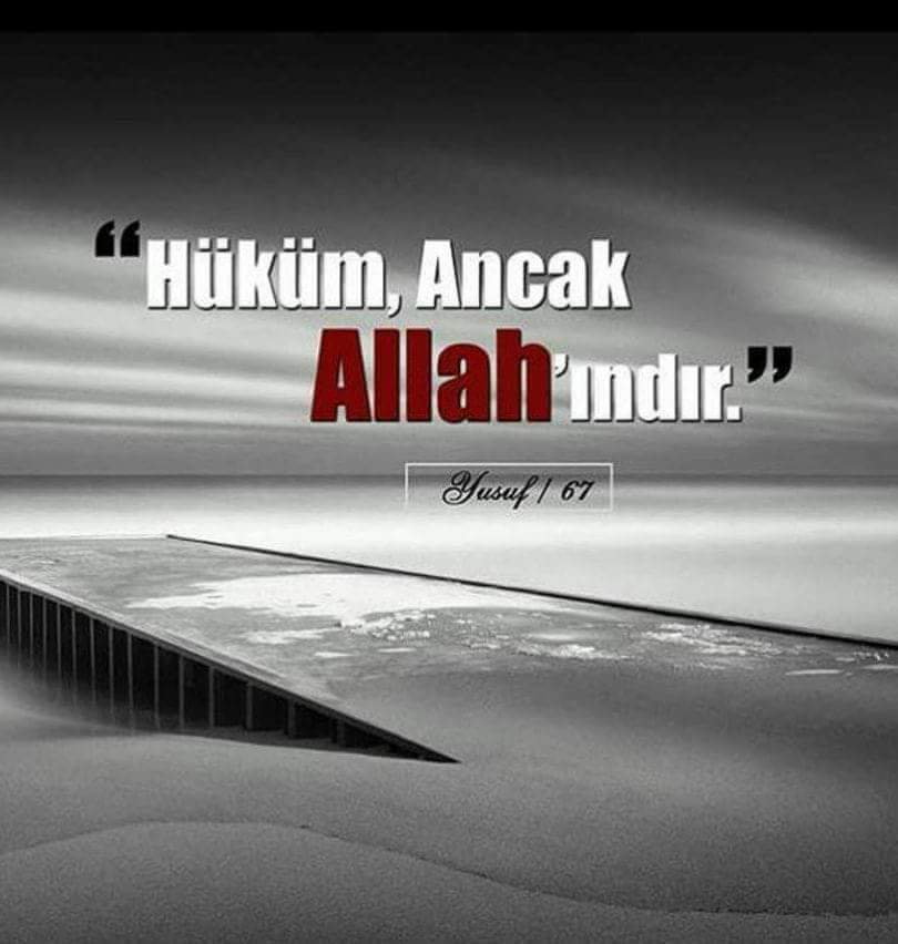 Hi̇sar Park Havuz Başı & Düğün & Nikah & Kokteyl & Balo Salonu