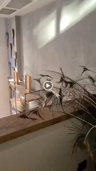 Kalamissia resimleri