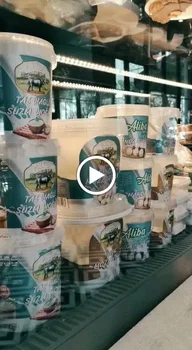 Kalamissia resimleri