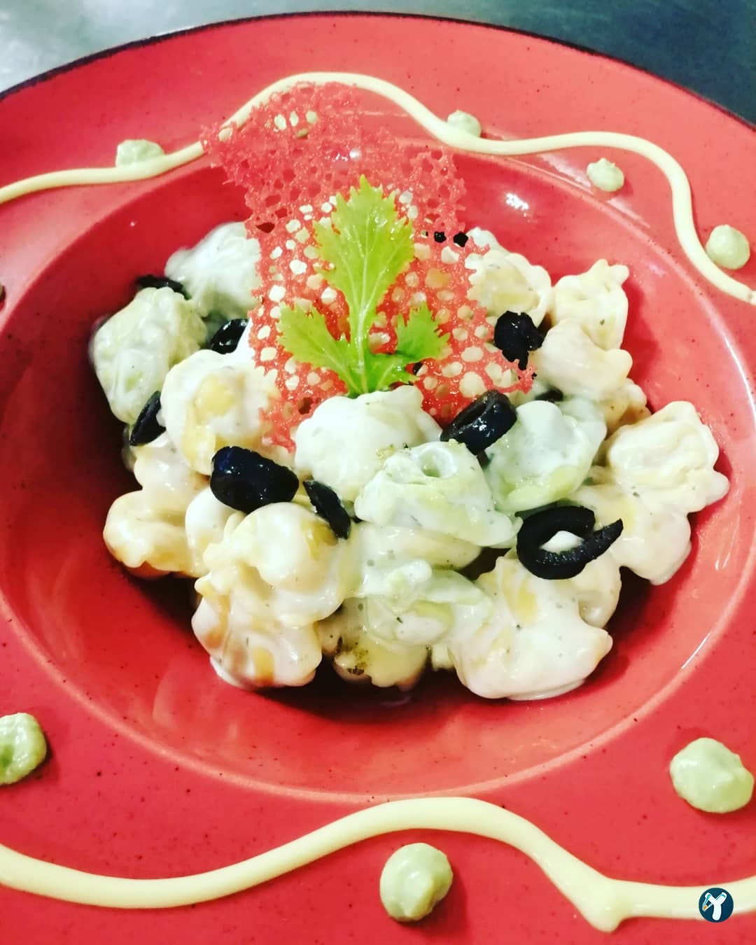 Zikkimcheff