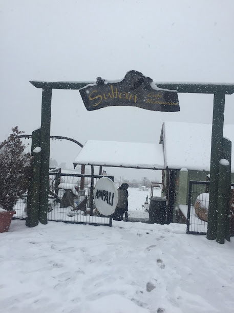 Turgutalp Restaurant