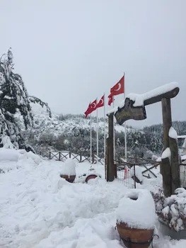 Turgutalp Restaurant resimleri