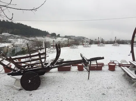 Turgutalp Restaurant resimleri