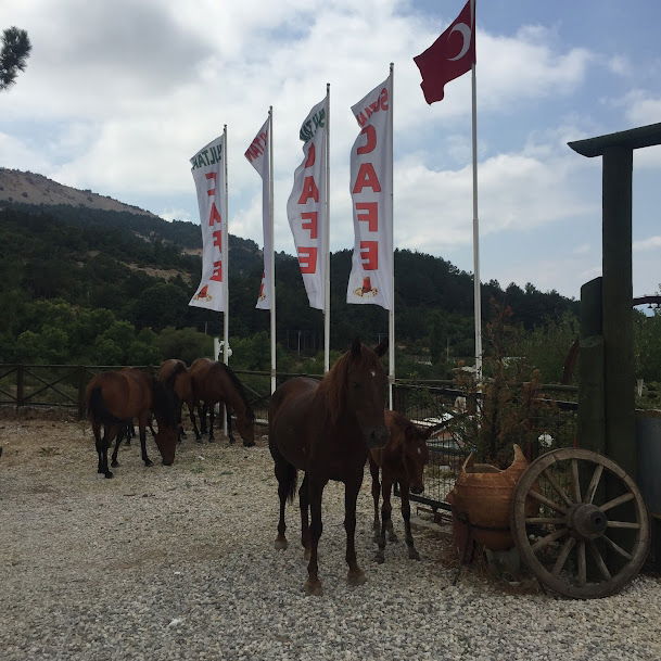 Turgutalp Restaurant