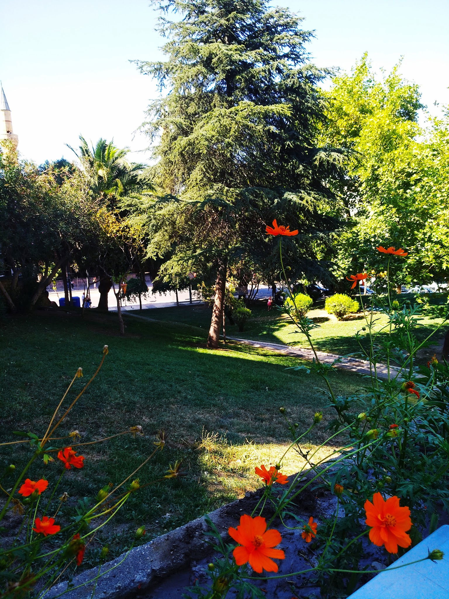 Kanaryacilar Dernegi