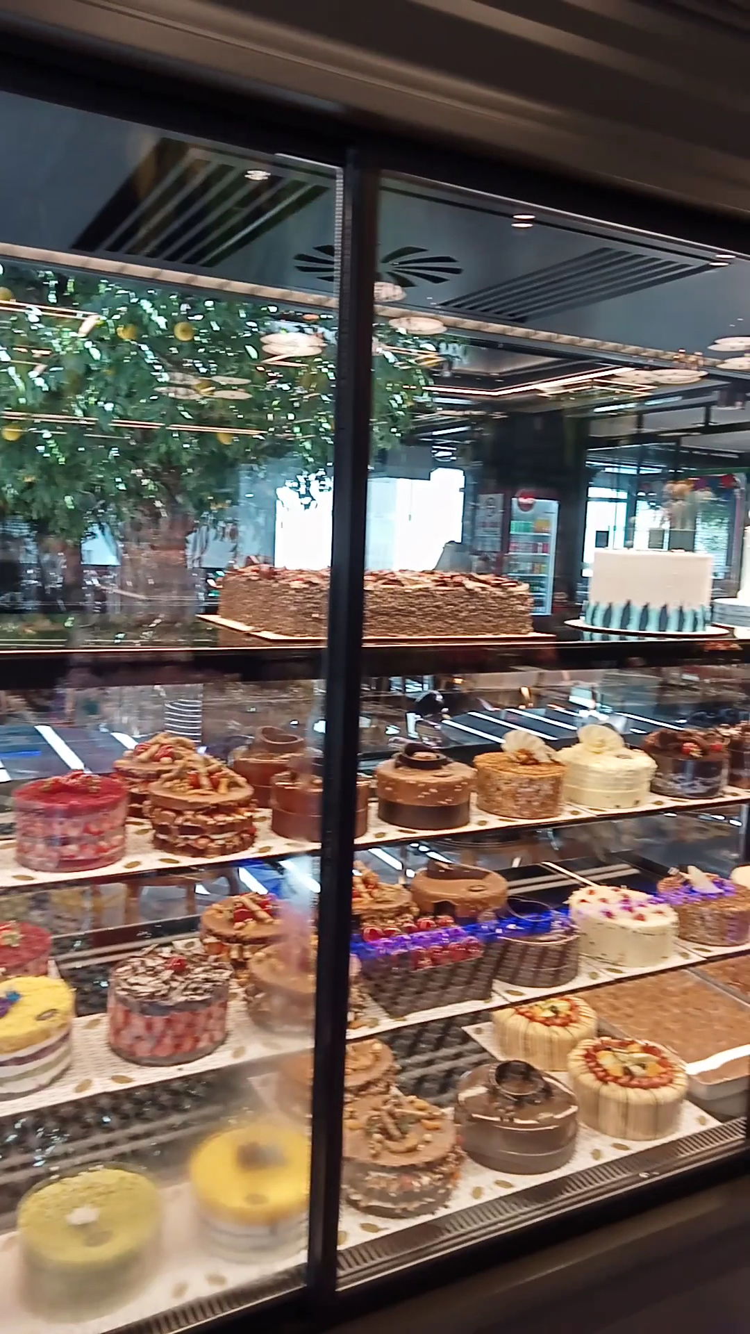 Hasanoğlu Baklava Pasta Döner Pide Kebap