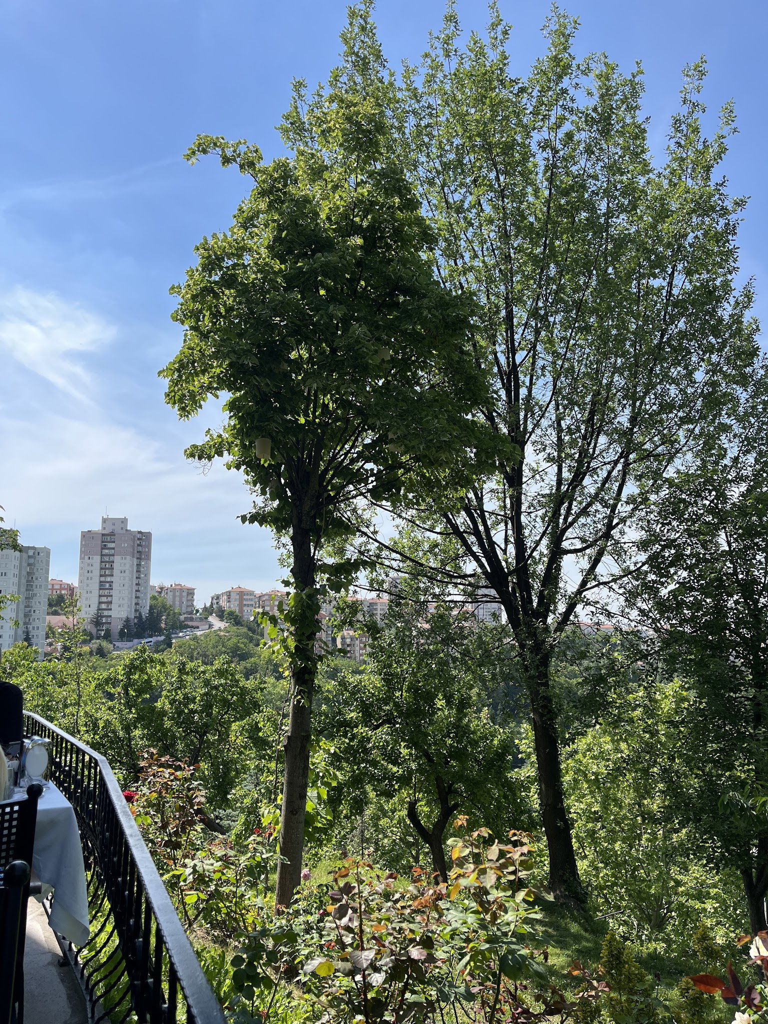 Meşhur Tavacı Recep Usta