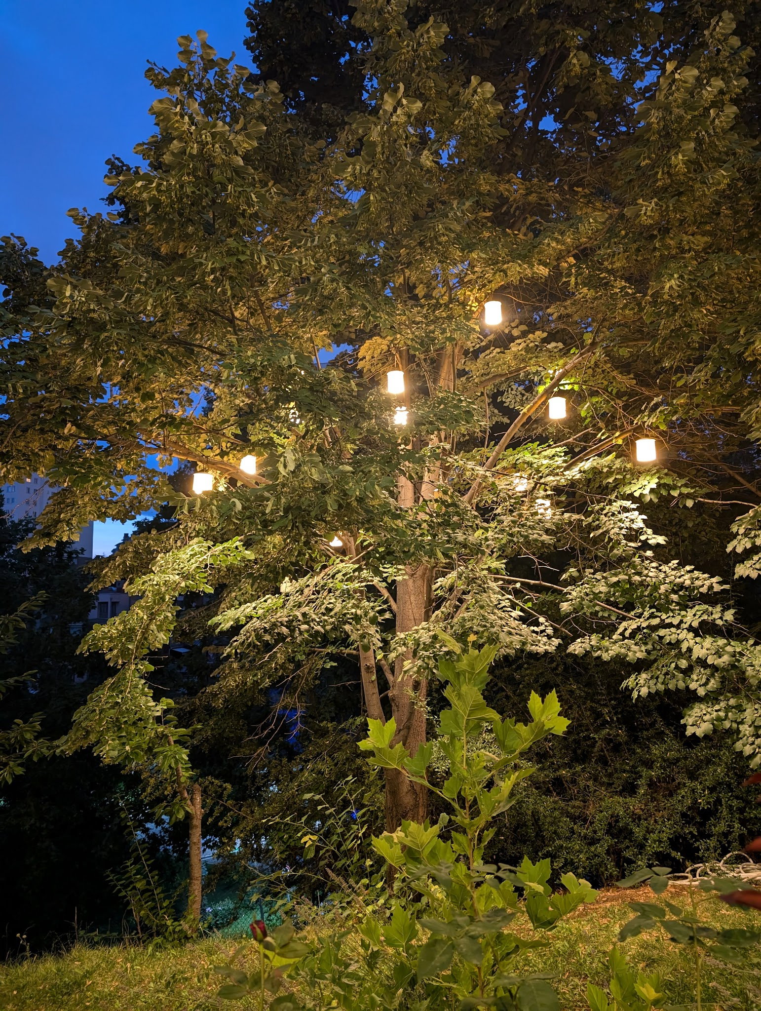 Meşhur Tavacı Recep Usta