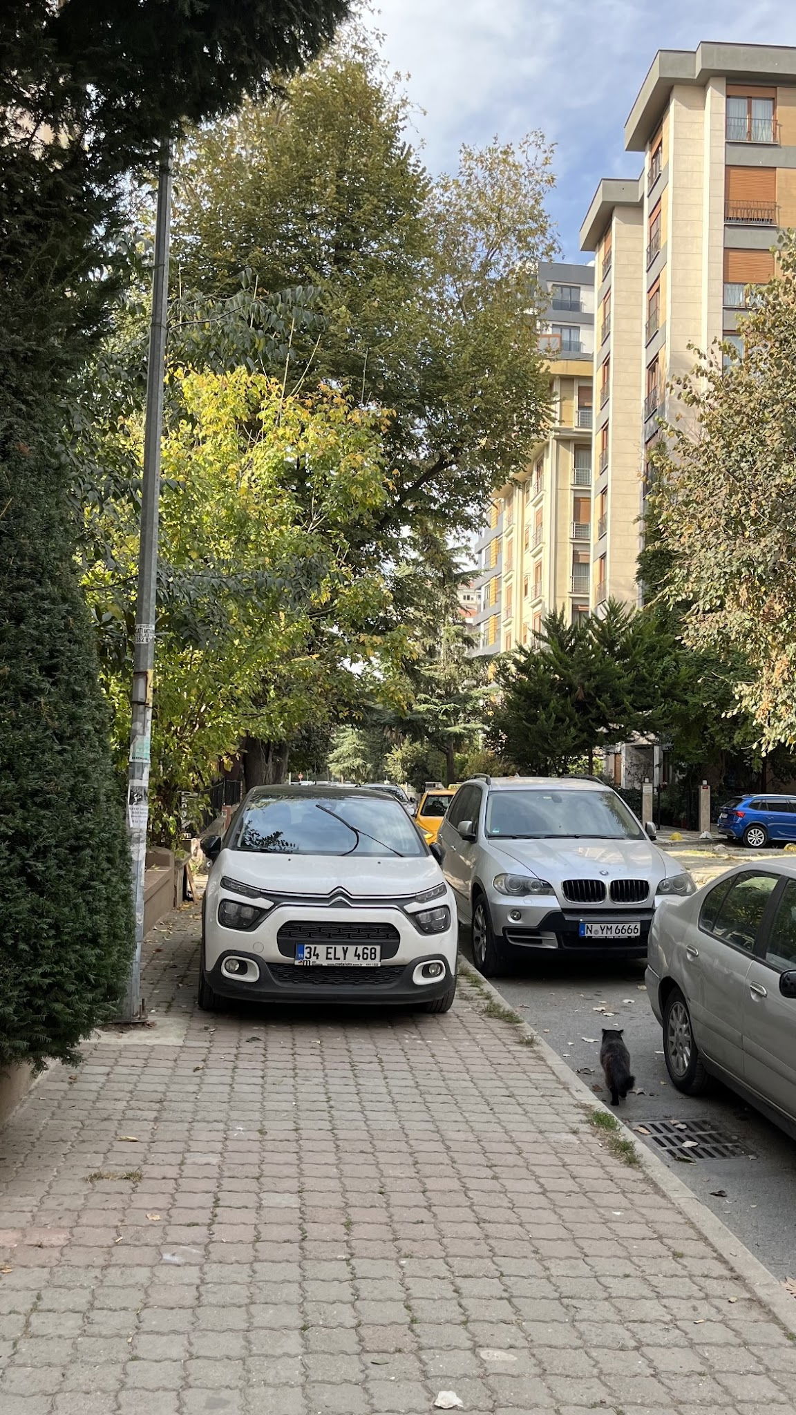 Teeo Restaurant & Pub