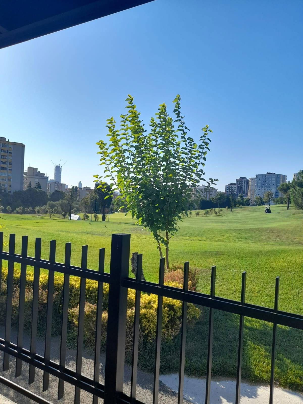 Teeo Restaurant & Pub