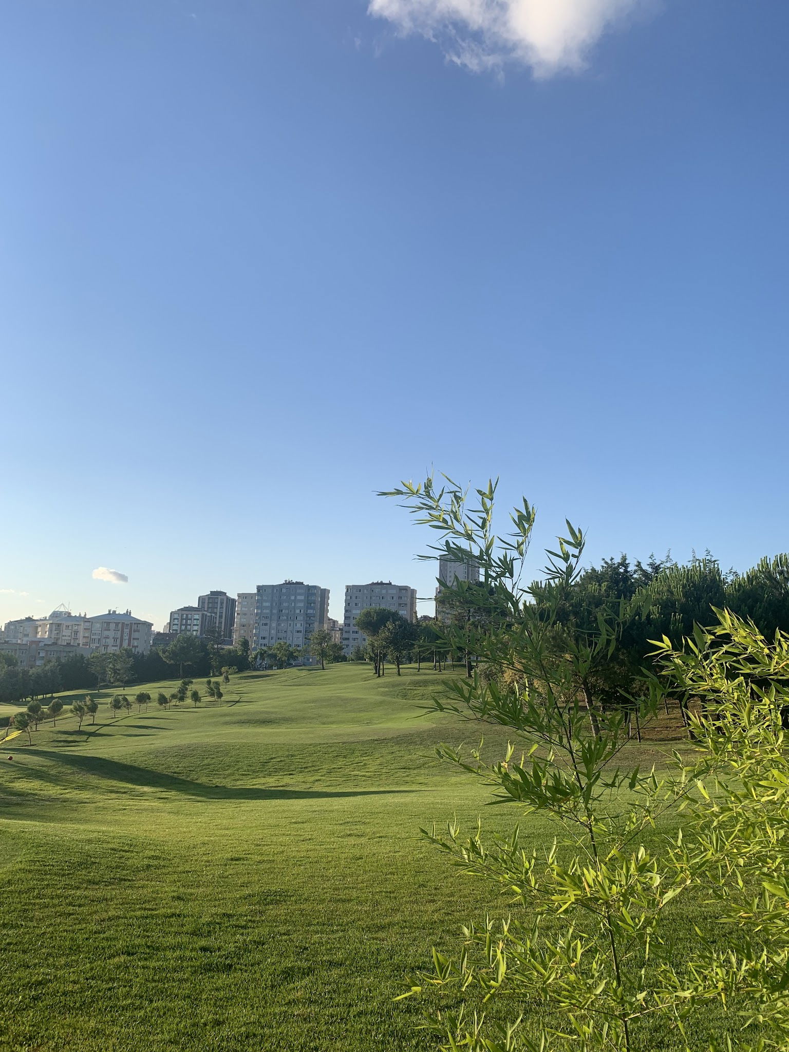 Teeo Restaurant & Pub