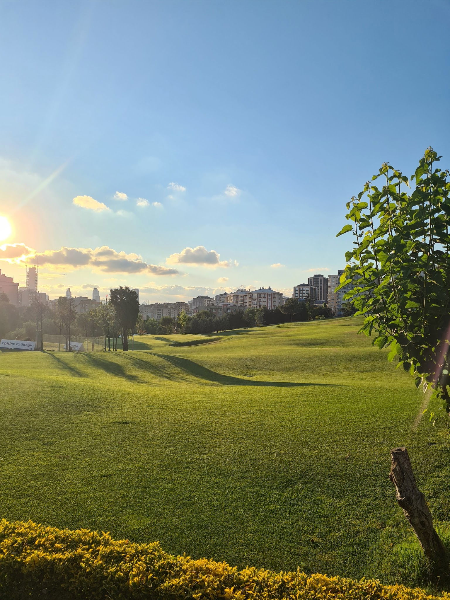 Teeo Restaurant & Pub