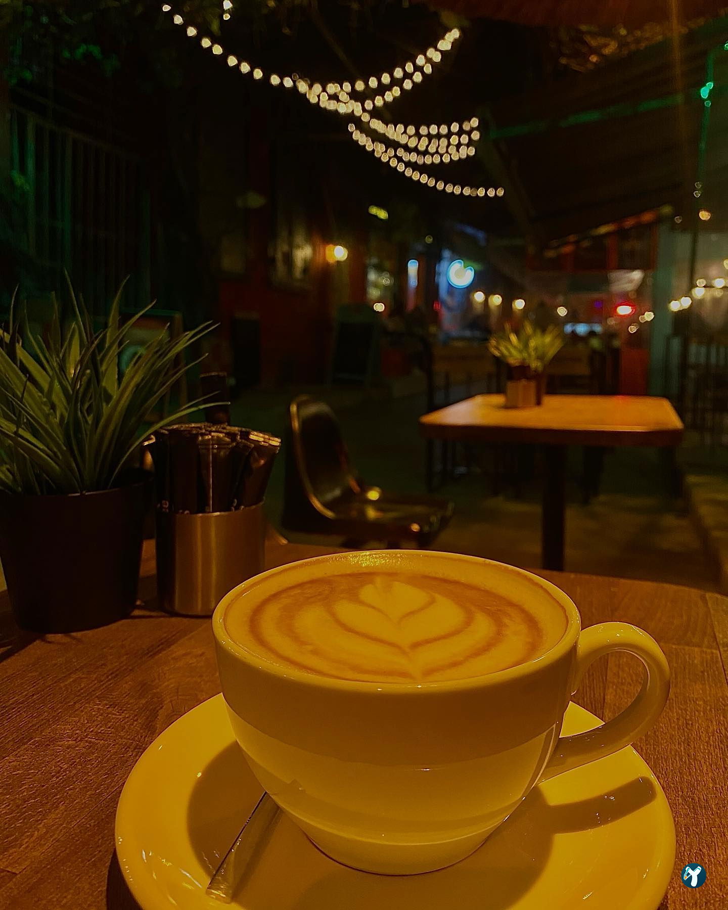 Sea Coffee