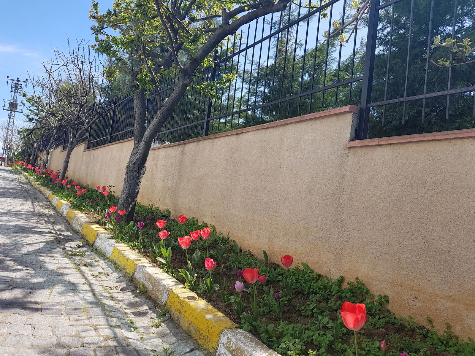 Moody'S Cafe & Restaurant