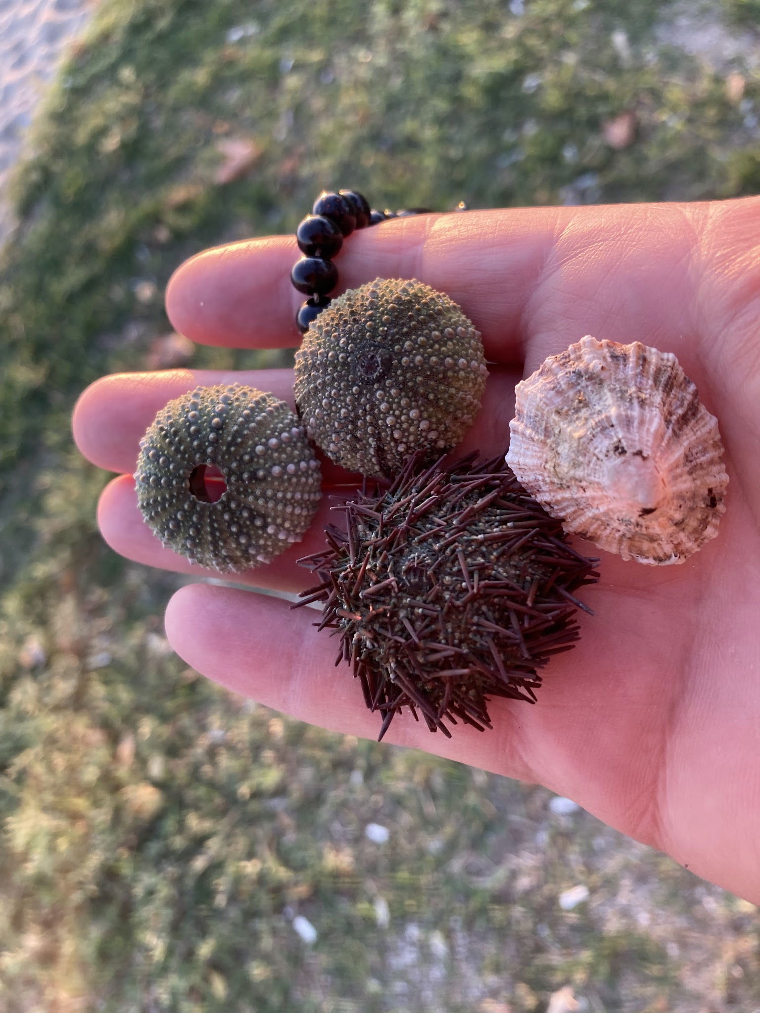 Pier Cafe & Restaurant