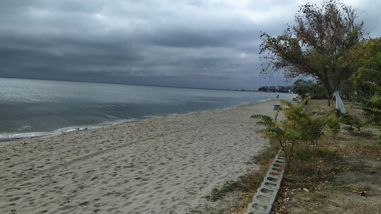 Pier Cafe & Restaurant