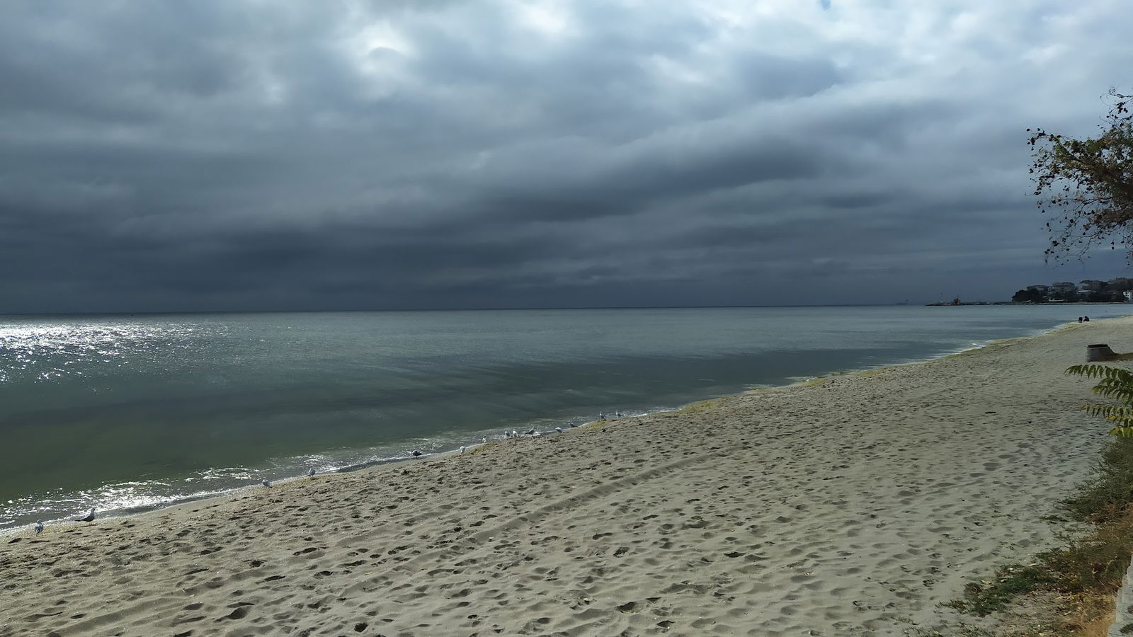 Pier Cafe & Restaurant